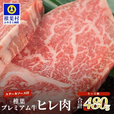 宮崎県産 椎葉プレミアム牛 ヒレ【480g】お試しステーキソース付き TK-44