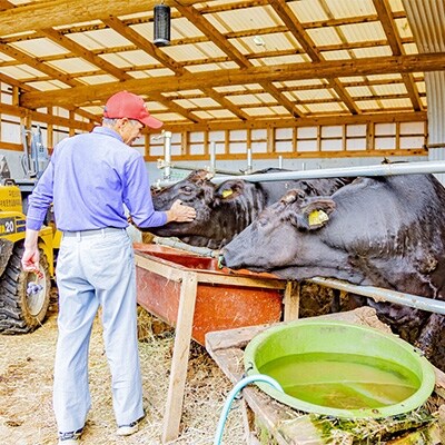 農家民泊 綾野ファーム 農家の暮らし体験チケット(1名様)【宮崎県椎葉村の農業体験を楽しもう!】