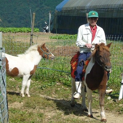 【宿泊券】農家民泊 綾野ファーム 1泊2日朝食・夕食付+体験セット(子供1名:小学生)