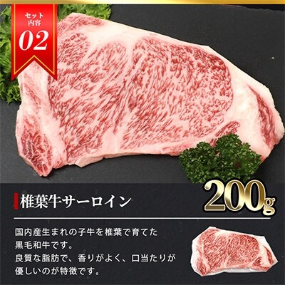 総重量800g!【3種の牛肉】ステーキ食べ比べセット【椎葉牛・椎葉プレミアム牛・宮崎県産和牛】