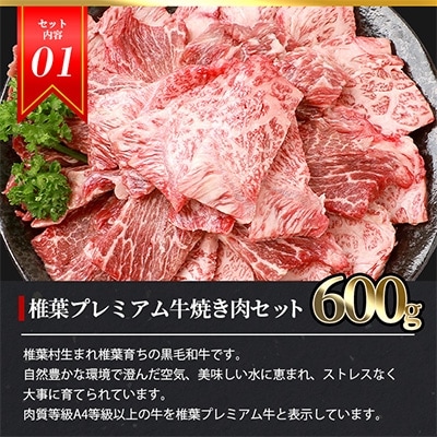 総重量2.1kg!【3種の牛肉】焼肉食べ比べセット【椎葉牛・椎葉プレミアム牛・宮崎県産和牛】