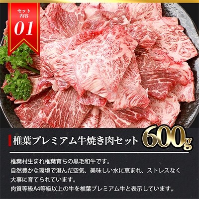 総重量2.1kg!【3種の牛肉】焼肉食べ比べセット【椎葉牛・椎葉プレミアム牛・宮崎県産和牛】