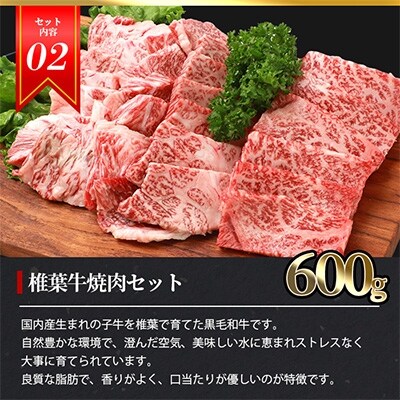 総重量2.1kg!【3種の牛肉】焼肉食べ比べセット【椎葉牛・椎葉プレミアム牛・宮崎県産和牛】