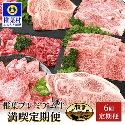 【定期便6回】総重量3.1kg!椎葉プレミアム牛満喫定期便≪ステーキ・すき焼き・焼き肉≫