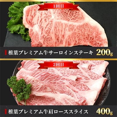 【定期便6回】総重量3.1kg!椎葉プレミアム牛満喫定期便≪ステーキ・すき焼き・焼き肉≫ 牛肉 お肉