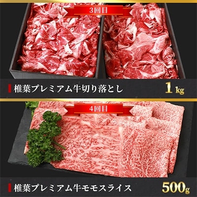 【定期便6回】総重量3.1kg!椎葉プレミアム牛満喫定期便≪ステーキ・すき焼き・焼き肉≫ 牛肉 お肉