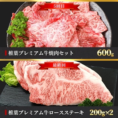 【定期便6回】総重量3.1kg!椎葉プレミアム牛満喫定期便≪ステーキ・すき焼き・焼き肉≫ 牛肉 お肉
