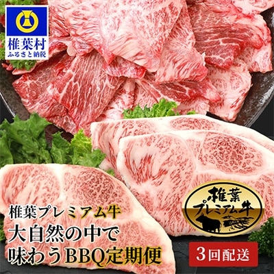 【定期便3回】総重量1.8kg!椎葉プレミアム牛 大自然の中で味わうBBQ定期便≪焼き肉・ステーキ≫