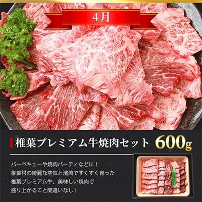 【定期便3回】総重量1.8kg!椎葉プレミアム牛 大自然の中で味わうBBQ定期便≪焼き肉・ステーキ≫