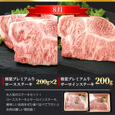 【定期便3回】総重量1.8kg!椎葉プレミアム牛 大自然の中で味わうBBQ定期便≪焼き肉・ステーキ≫