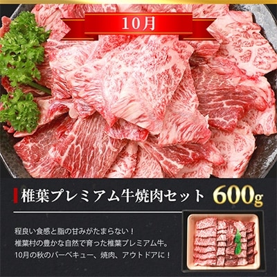 【定期便3回】総重量1.8kg!椎葉プレミアム牛 大自然の中で味わうBBQ定期便≪焼き肉・ステーキ≫