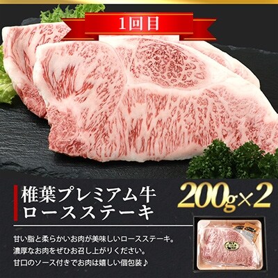 【定期便2回】総重量800g!椎葉プレミアム牛ステーキ定期便≪サーロインステーキ・ロースステーキ≫