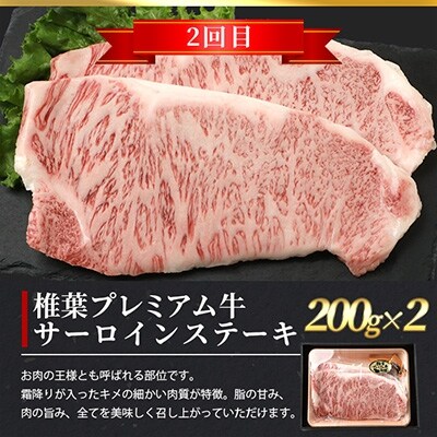 【定期便2回】総重量800g!椎葉プレミアム牛ステーキ定期便≪サーロインステーキ・ロースステーキ≫