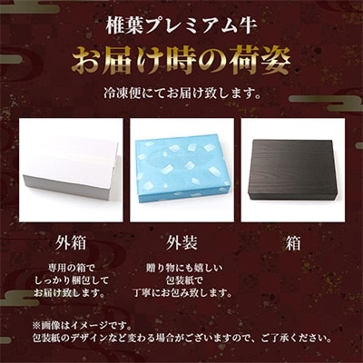 【定期便2回】総重量800g!椎葉プレミアム牛ステーキ定期便≪サーロインステーキ・ロースステーキ≫
