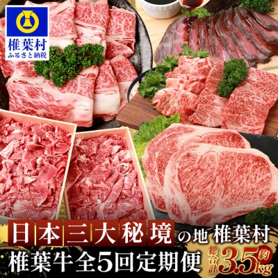 【定期便5回】総重量3.5kg!椎葉牛オールスター定期便≪ローストビーフ・焼き肉・すき焼きetc≫