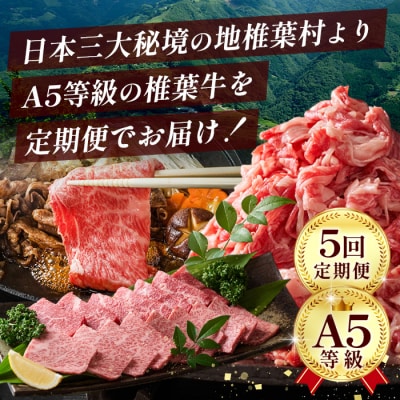 【定期便5回】総重量3.5kg!椎葉牛オールスター定期便≪ローストビーフ・焼き肉・すき焼きetc≫