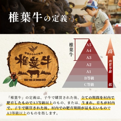 【定期便5回】総重量3.5kg!椎葉牛オールスター定期便≪ローストビーフ・焼き肉・すき焼きetc≫