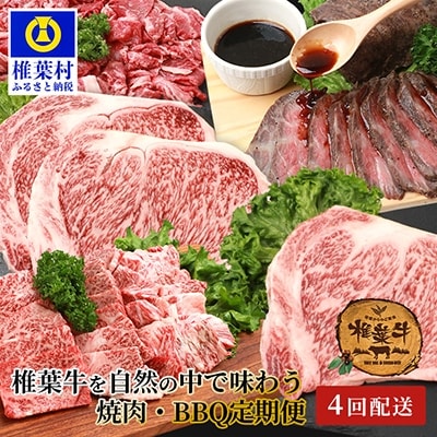 【定期便4回】総重量2.4kg!椎葉牛 大自然の中で味わう焼肉・BBQ定期便