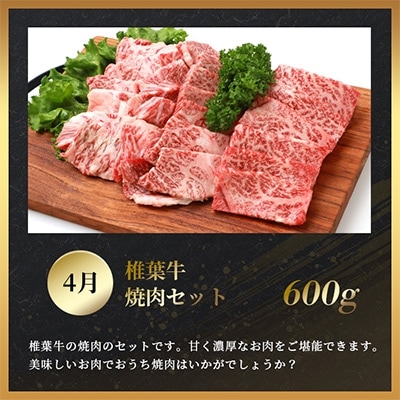 【定期便4回】総重量2.4kg!椎葉牛 大自然の中で味わう焼肉・BBQ定期便