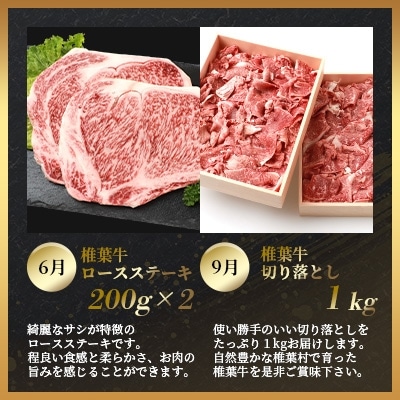 【定期便4回】総重量2.4kg!椎葉牛 大自然の中で味わう焼肉・BBQ定期便