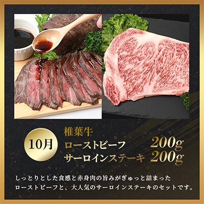 【定期便4回】総重量2.4kg!椎葉牛 大自然の中で味わう焼肉・BBQ定期便