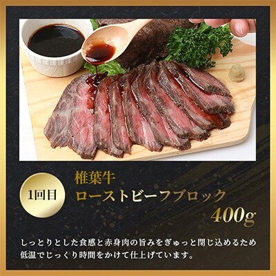 【定期便2回】総重量1kg!椎葉牛 ローストビーフとステーキの定期便