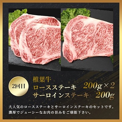 【定期便2回】総重量1kg!椎葉牛 ローストビーフとステーキの定期便