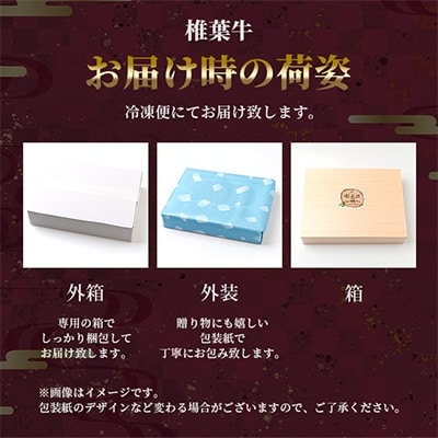 【定期便2回】総重量1kg!椎葉牛 ローストビーフとステーキの定期便