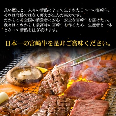 受賞歴多数!!宮崎牛 肩ロース スライス・焼肉 各300g&宮崎県産黒毛和牛小間切れ 100g×2