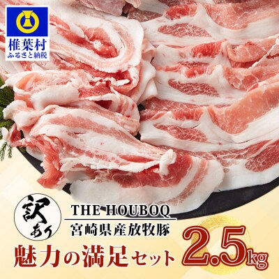 【訳あり】THE HOUBOQ 魅力の満足セット 豚肉 スライス肉指定バージョン【合計2.5kg】