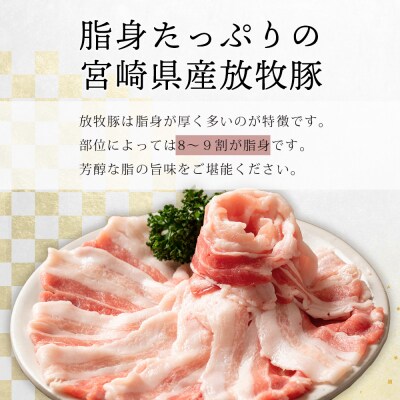 【訳あり】THE HOUBOQ 魅力の満足セット 豚肉 スライス肉指定バージョン【合計2.5kg】
