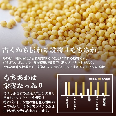 【古来より伝わるスーパーフード】椎葉のもちあわ 200g