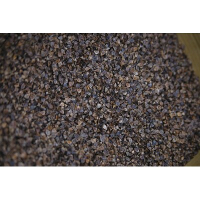 椎葉産 自家製粉 石臼挽き蕎麦粉 500g【在来種】