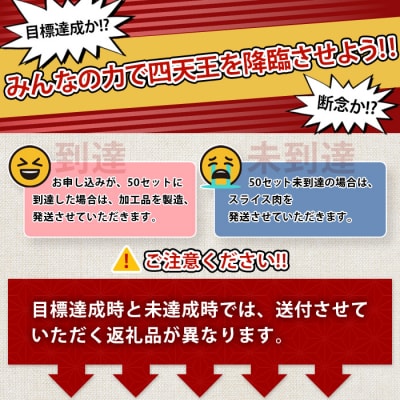 【限定50セット企画】椎葉放牧豚 みんなの力で加工品 四天王 復刻セット【目標達成か!?断念か!?】