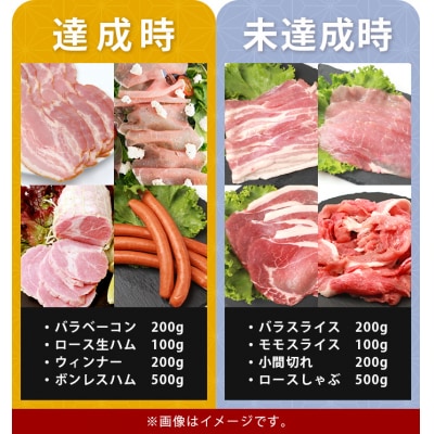 【限定50セット企画】椎葉放牧豚 みんなの力で加工品 四天王 復刻セット【目標達成か!?断念か!?】