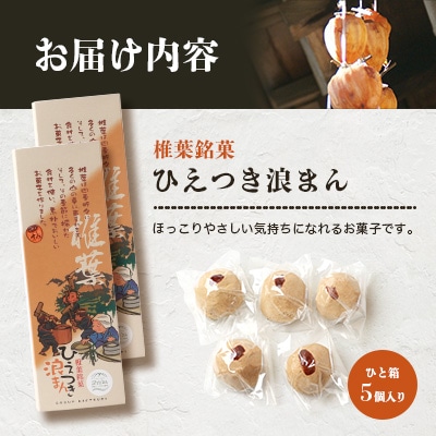 【椎葉銘菓】ひえつき浪まん 2箱(5個入り×2)【椎葉村産 干し柿入りの和菓子】