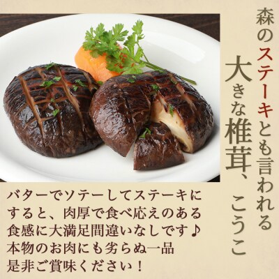 数量限定!【特撰】 椎葉村産 乾し椎茸 香菇 (こうこ) 170g【森のステーキ】