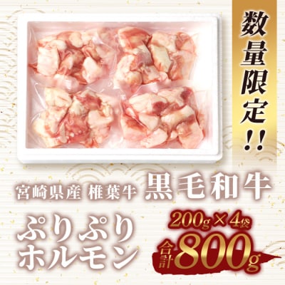 宮崎県産 椎葉牛 ぷりぷりホルモン(小腸)200g×4袋 合計800g【もつ鍋・焼肉用】ホルモン焼き
