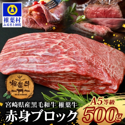 宮崎県産 椎葉牛 赤身ももブロック 500g【A5ランク指定 黒毛和牛】