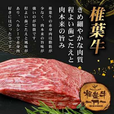 宮崎県産 椎葉牛 赤身ももブロック 500g【A5ランク指定 黒毛和牛】