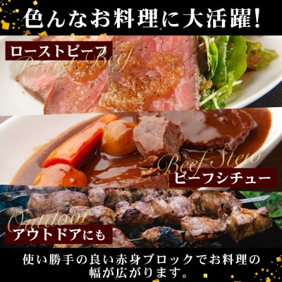 宮崎県産 椎葉牛 赤身ももブロック 500g【A5ランク指定 黒毛和牛】