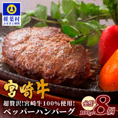 宮崎牛ペッパーハンバーグ【100g&times;8個】【宮崎牛100%使用】