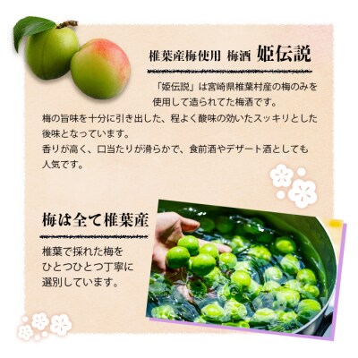 椎葉村産梅使用 梅酒「姫伝説」720ml×2本
