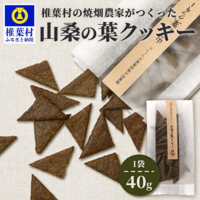椎葉村の焼畑農家がつくった 山桑の葉クッキー【手づくりの焼菓子】