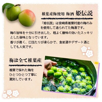 椎葉村産梅使用 梅酒「姫伝説」720ml×2本 SN-11