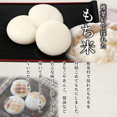 焼畑農家がつくった 白もち 10個【日本三大秘境の地「椎葉村」からお届け】餅 もち モチ 白餅