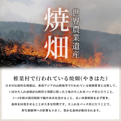 焼畑農家がつくった5種のお餅セットB(白もち よもぎもち とうきびもち あずきもち あわもち)