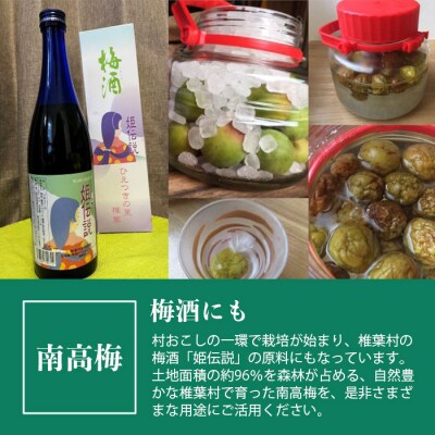 受付6/5(月)まで【秘境・椎葉村】南高梅 青梅 5kg【森林率96%の村の果実】