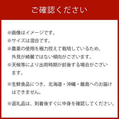 受付6/5(月)まで【秘境・椎葉村】南高梅 青梅 5kg【森林率96%の村の果実】
