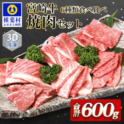 【3D冷凍】宮崎牛 6部位 食べ比べ 焼肉セット【3D冷凍技術】【急速冷凍】MT-48